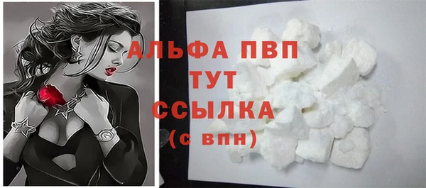 стафф Михайловск