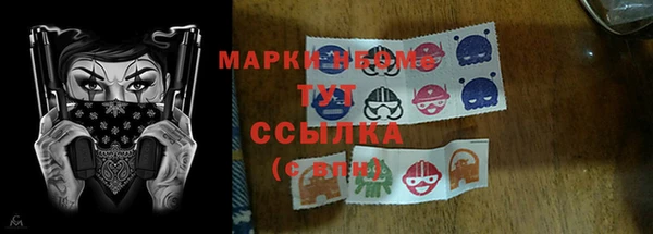 стафф Михайловск