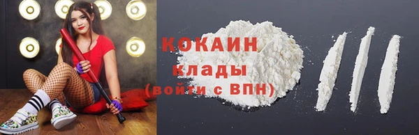 стафф Михайловск
