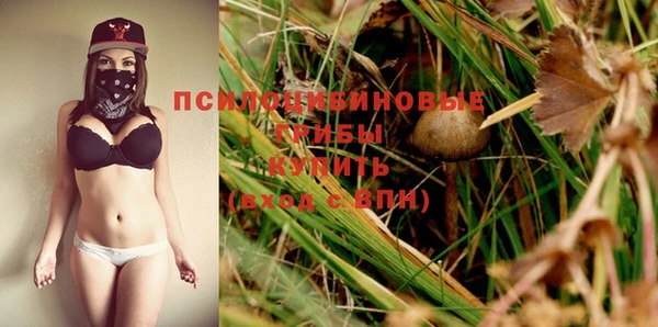 стафф Михайловск