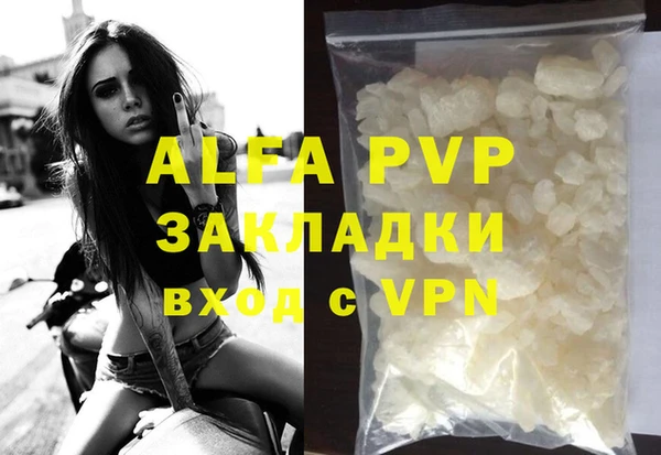 стафф Михайловск