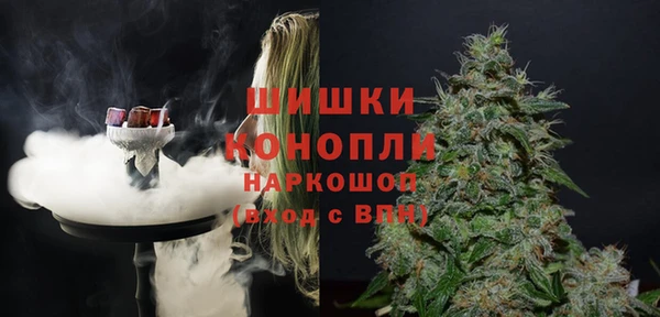 стафф Михайловск