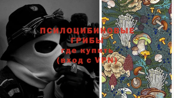 стафф Михайловск