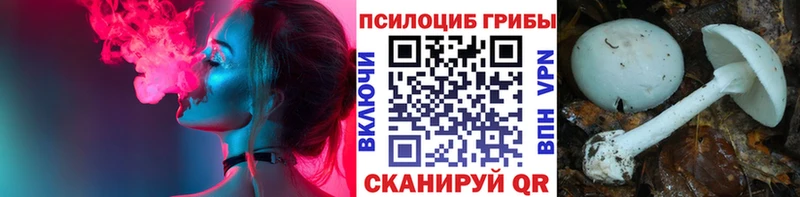 Галлюциногенные грибы мицелий  Ардон 