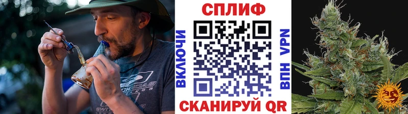 Канабис индика  Ардон 